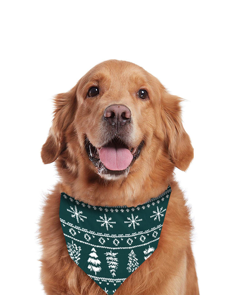 Christmas Crew – Pyjamas de Noël Assortis pour la Famille
