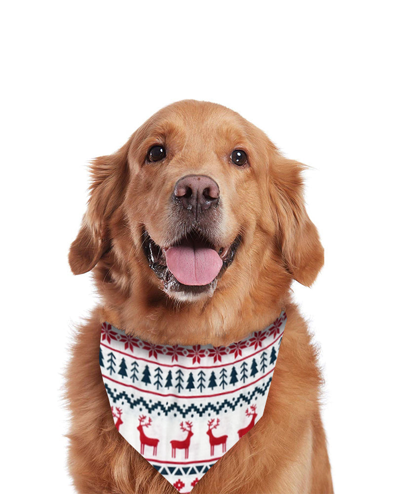 Snug Snowflakes – Pyjamas de Noël Assortis pour la Famille