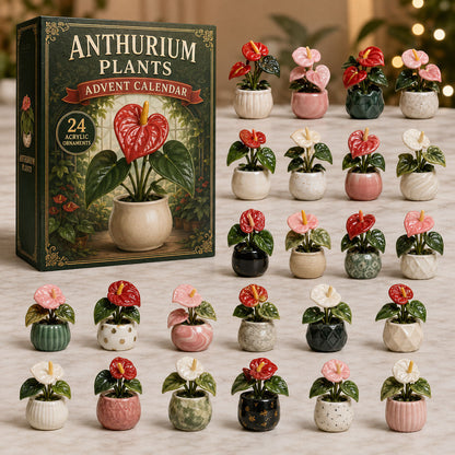 Anthurium Garden Advent Calendar 2026 - 24-Day Festive Countdown