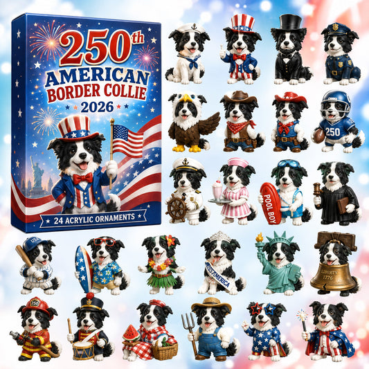 250th American Border Collie Advent Calendar 2026 - 24-Day Festive Countdown