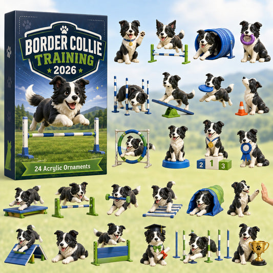 Border Collie Training Advent Calendar 2026 - 24-Day Festive Countdown