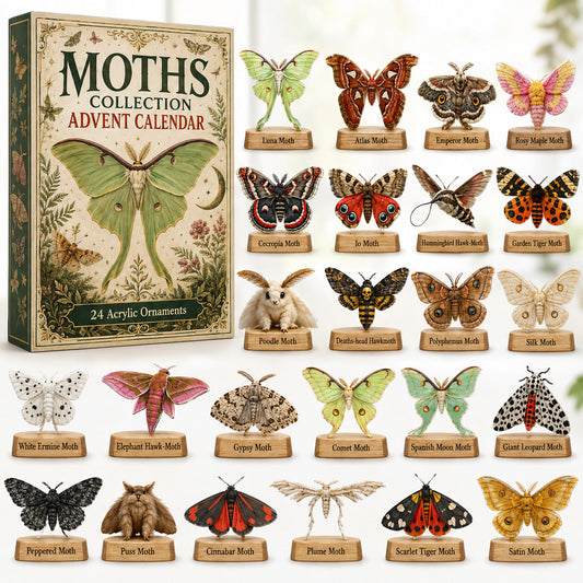 Moths Collection Advent Calendar 2026 - 24-Day Festive Countdown