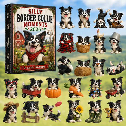 Silly Border Collie Moments Advent Calendar 2026 - 24-Day Festive Countdown