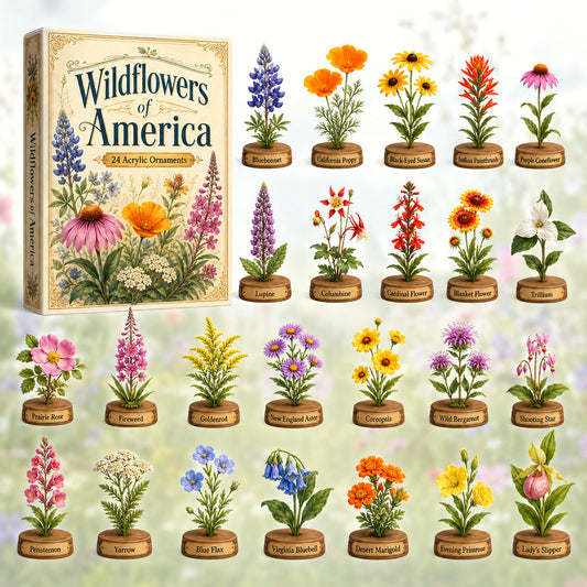 Wildflowers of America Advent Calendar 2026 - 24-Day Festive Countdown