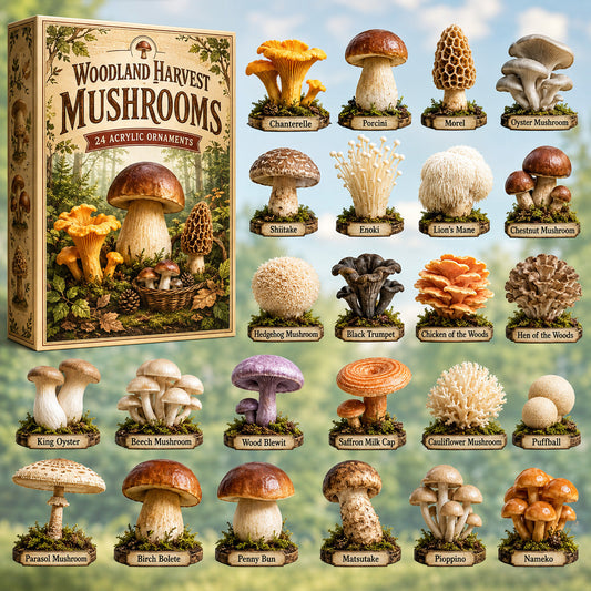 Woodland Harvest Mushrooms Advent Calendar 2026 - 24-Day Festive Countdown
