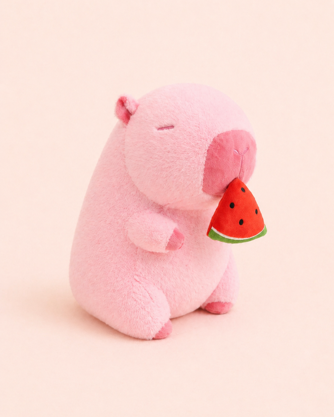 Fluffy Capybara Plush Toy