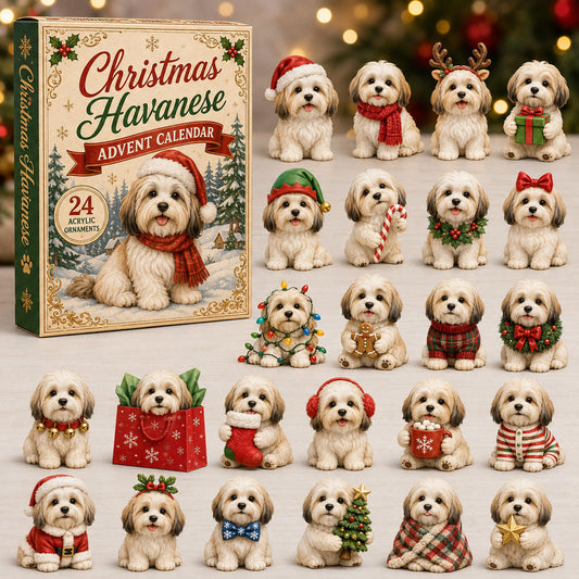 Christmas Havanese Advent Calendar 2026 - 24-Day Festive Countdown