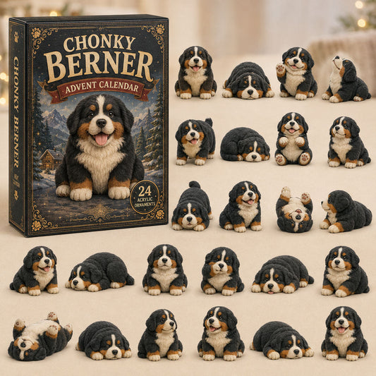 Chubby Berner Advent Calendar 2026 - 24-Day Festive Countdown