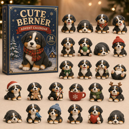 Cute Berner Winter Advent Calendar 2026 - 24-Day Festive Countdown