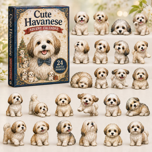 Cute Havanese Advent Calendar 2026 - 24-Day Festive Countdown