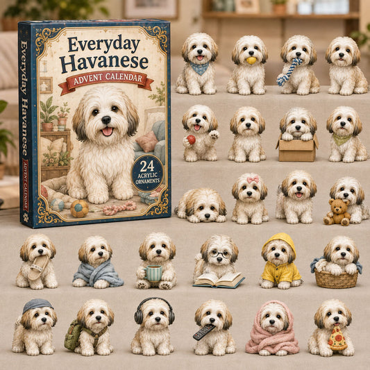 Everyday Havanese Advent Calendar 2026 - 24-Day Festive Countdown