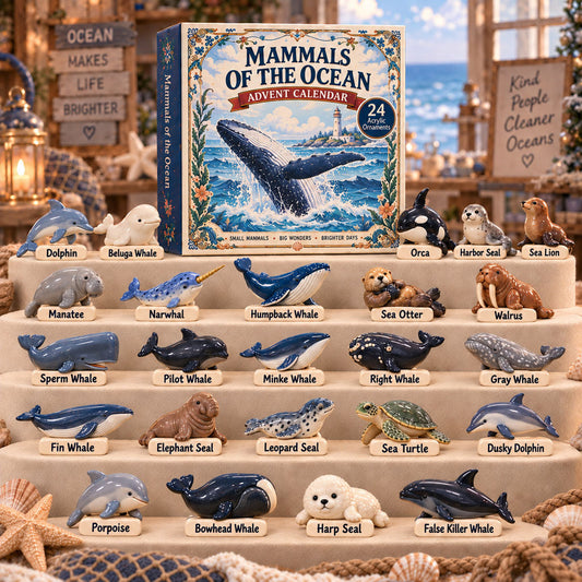 Mammals Of The Ocean Advent Calendar 2026 - 24-Day Festive Countdown