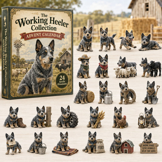 Working Heeler Collection Advent Calendar 2026 - 24-Day Festive Countdown